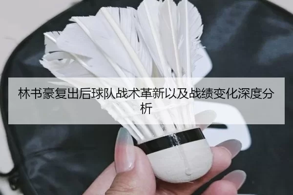 林书豪复出后球队战术革新以及战绩变化深度分析