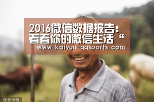 开云中国官网