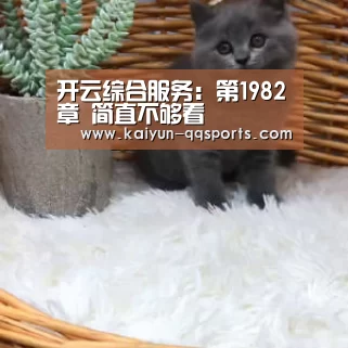 开云综合服务:第1982章 简直不够看(图2) 开云综合服务